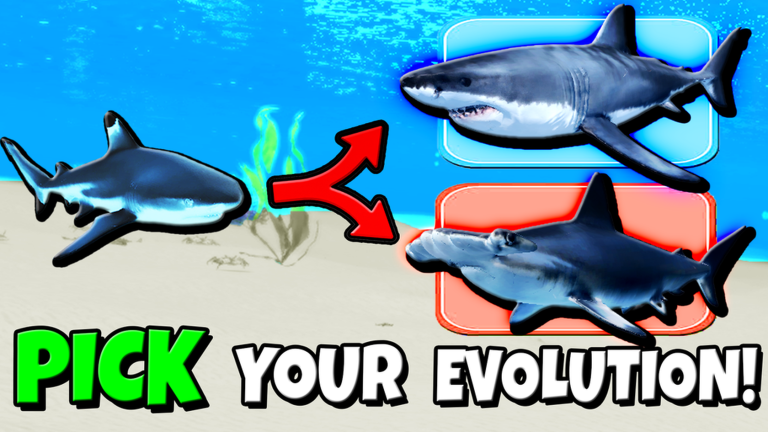 Sharks and Predators